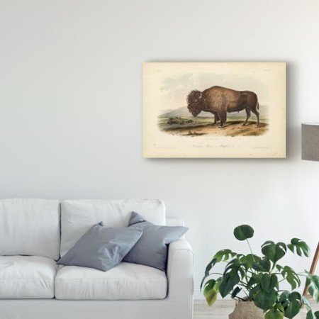 Trademark Fine Art John James Audubon 'American Bison Standing' Canvas Art, 12x19 WAG04126-C1219GG
